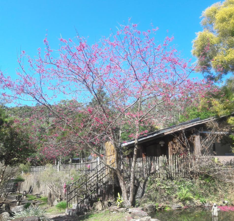 Bright Moon Homestay Dongshi  Eksteriør bilde