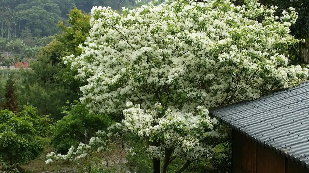 Bright Moon Homestay Dongshi  Eksteriør bilde